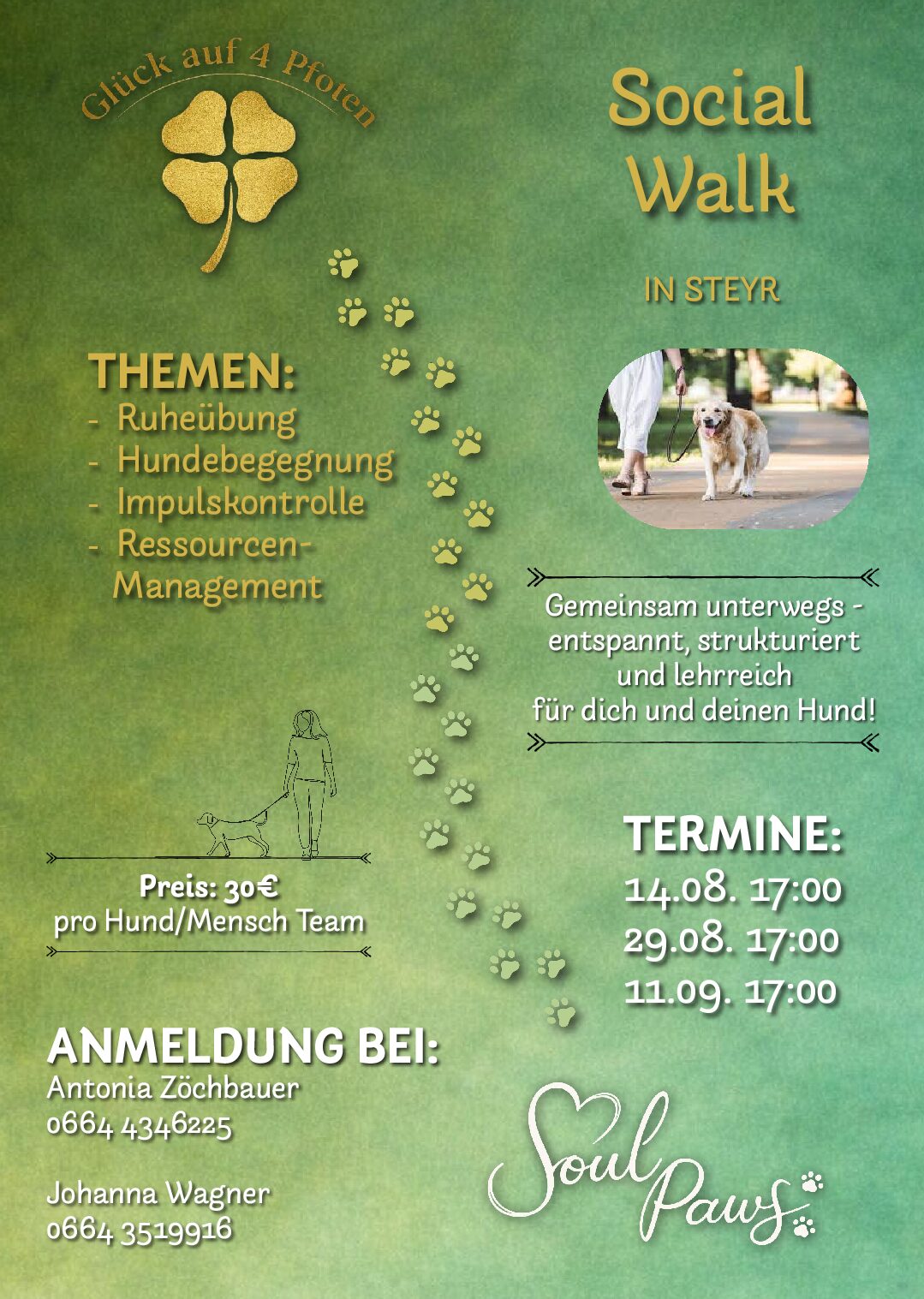 Social Walk in Steyr